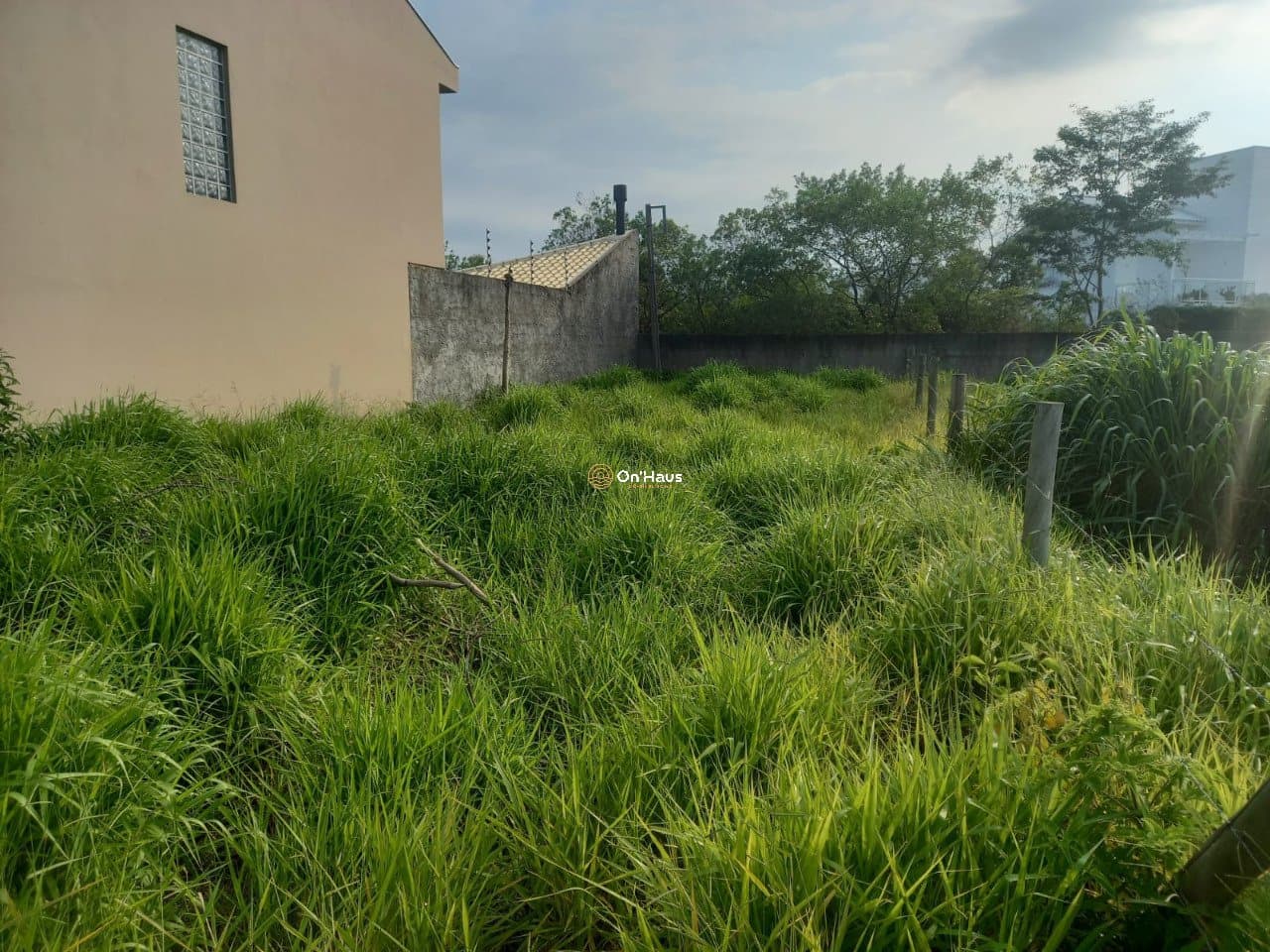 Imagem da propriedade 1128 5