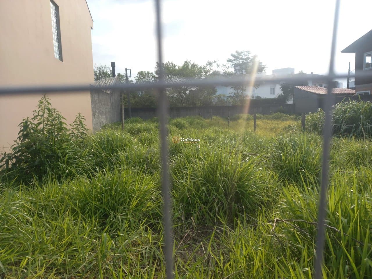Imagem da propriedade 1128 6