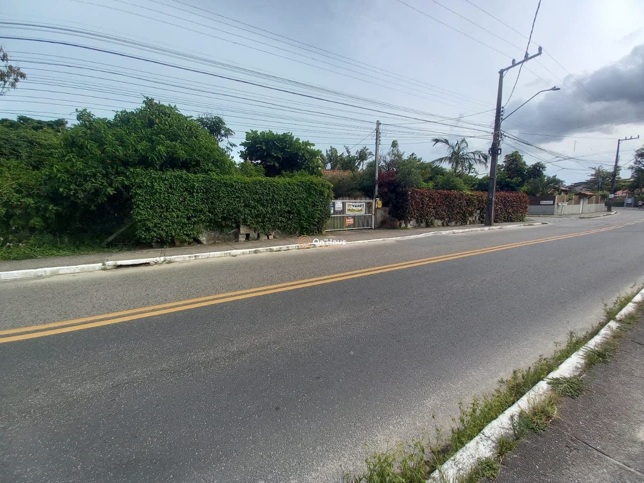 Imagem da propriedade 1174 8