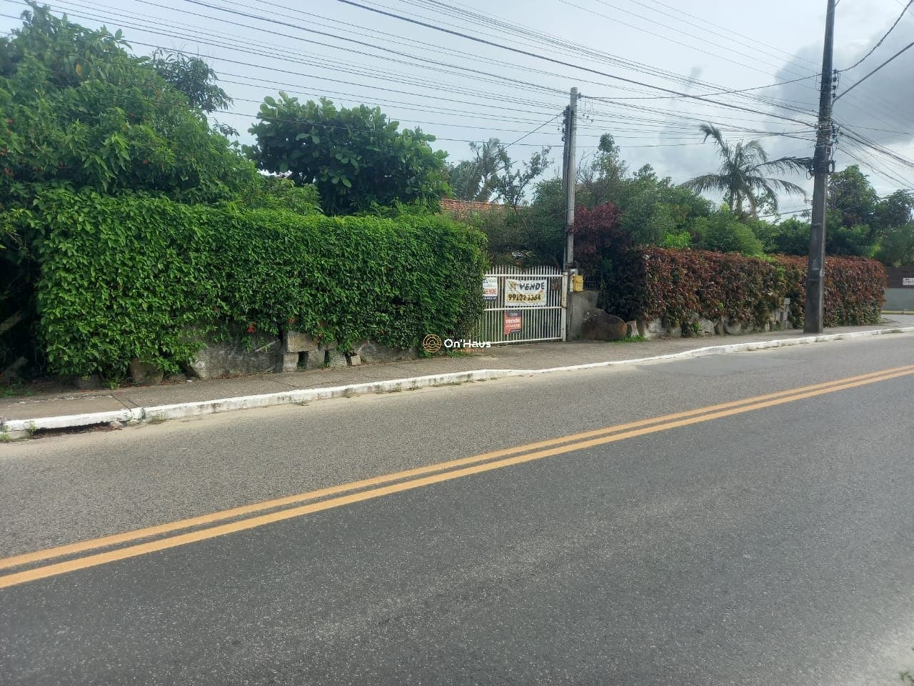 Imagem da propriedade 1174 9