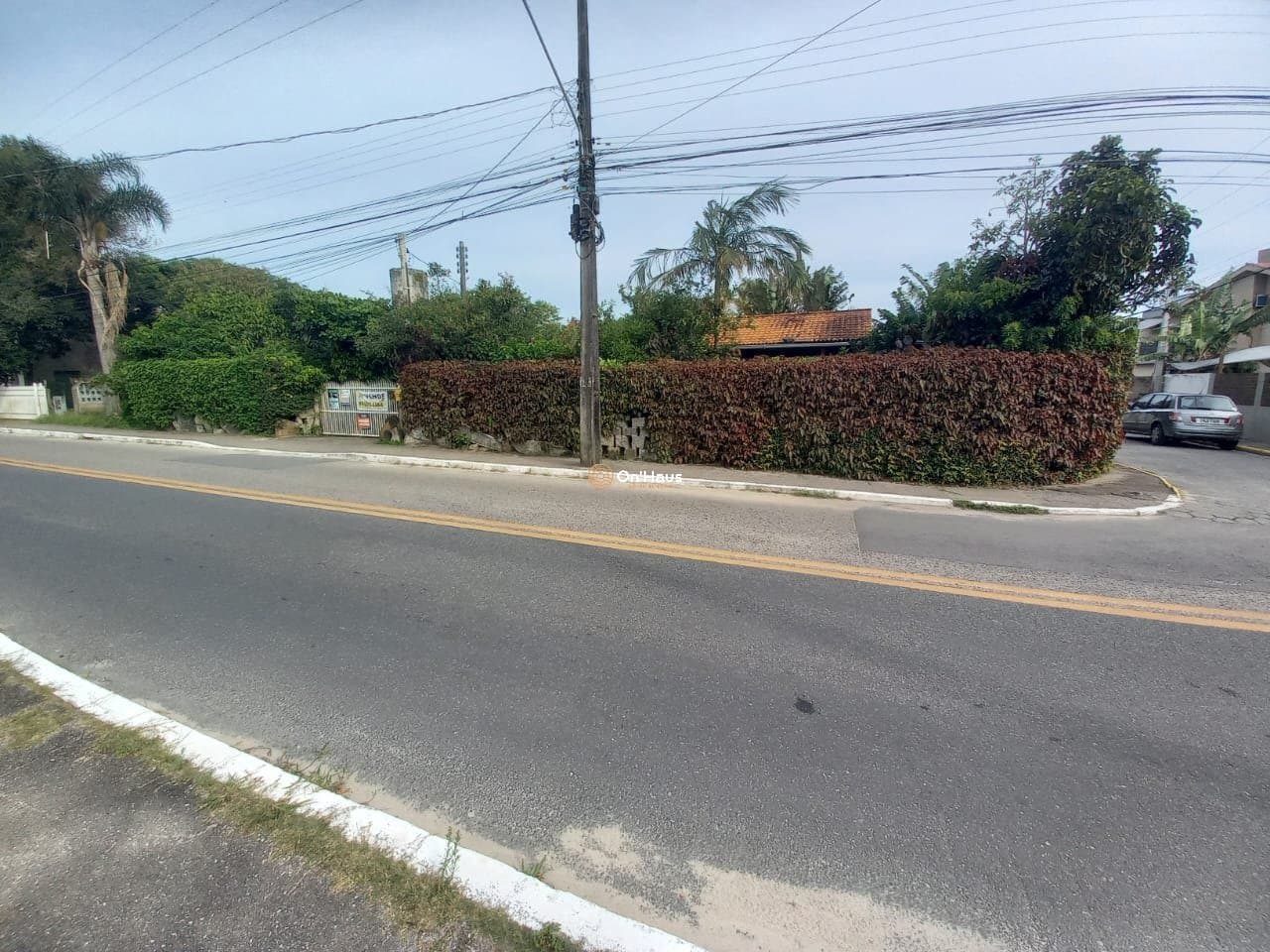 Imagem da propriedade 1174 10